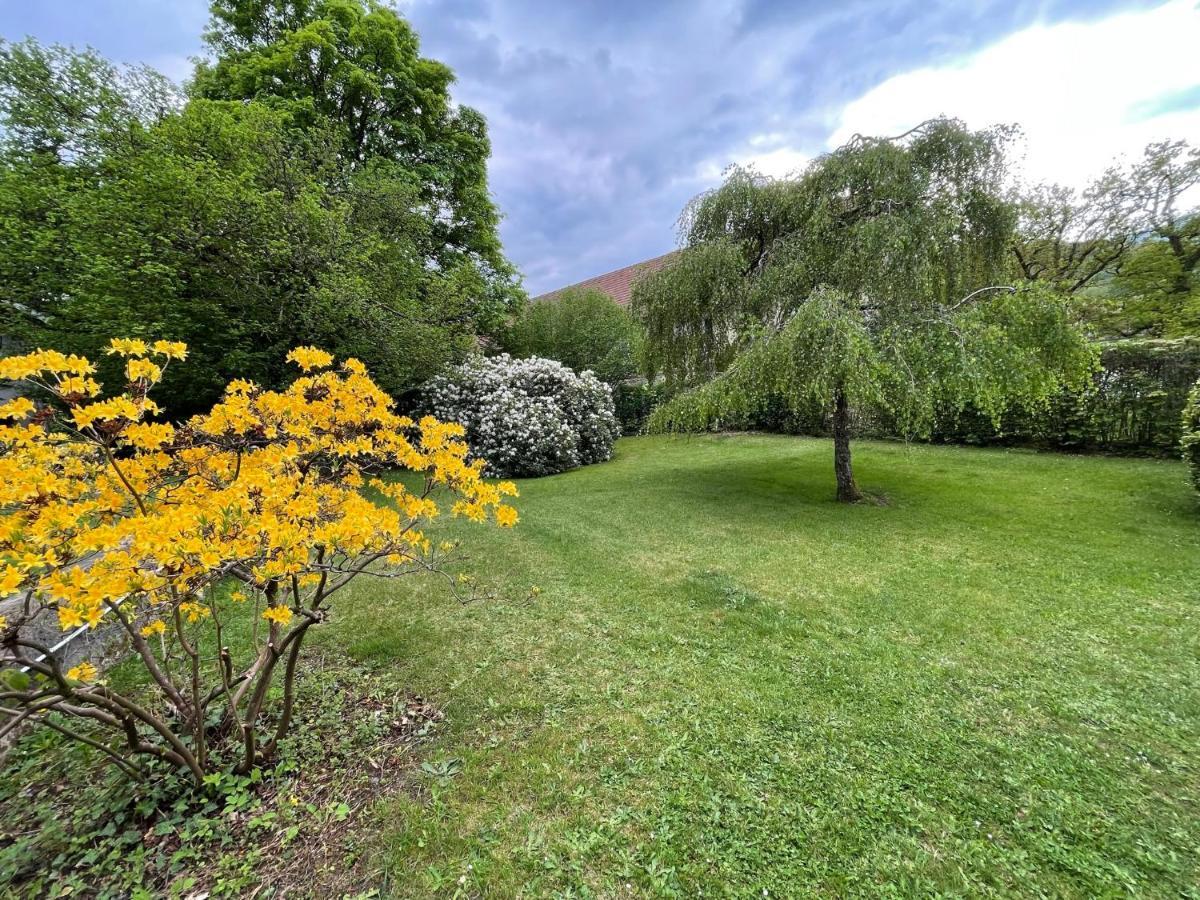 A L'Ombre Des Tilleuls Husseren-Wesserling Exteriör bild