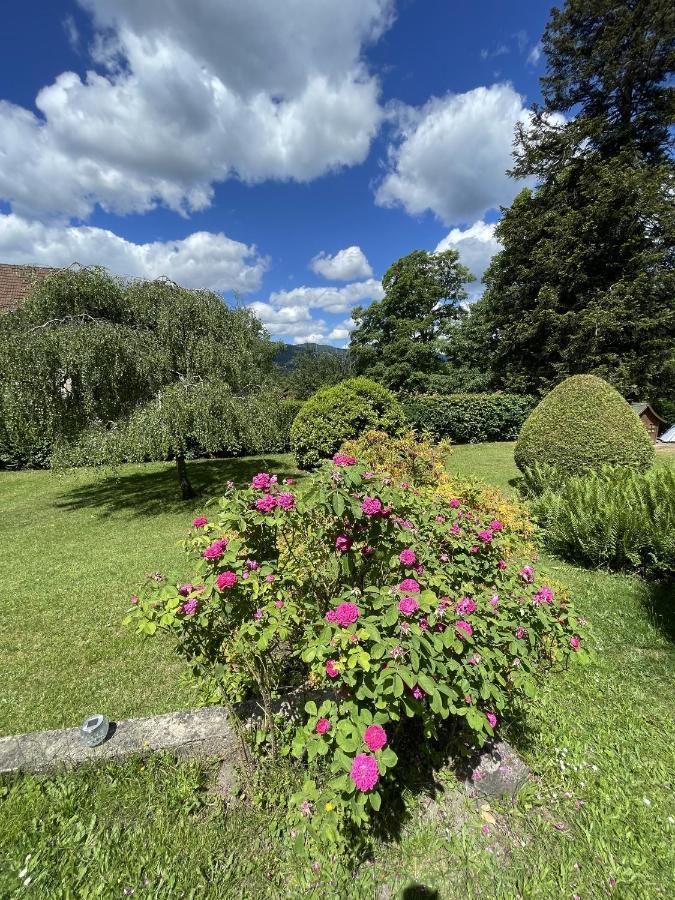 A L'Ombre Des Tilleuls Husseren-Wesserling Exteriör bild